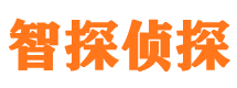 琼中市侦探